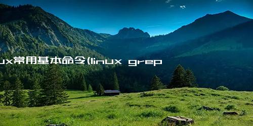 linux常用基本命令(linux grep命令)